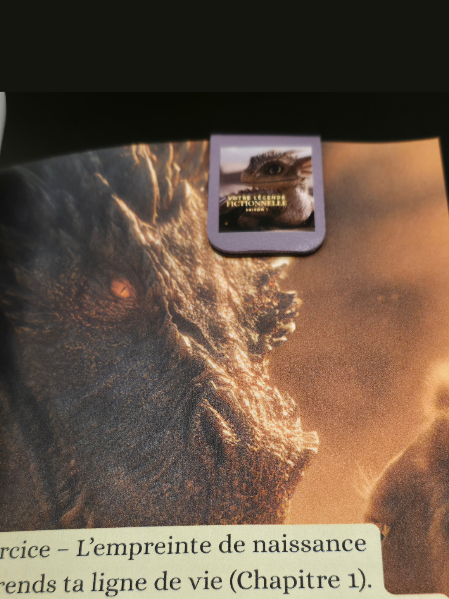 Marque-page aimanté IMOL